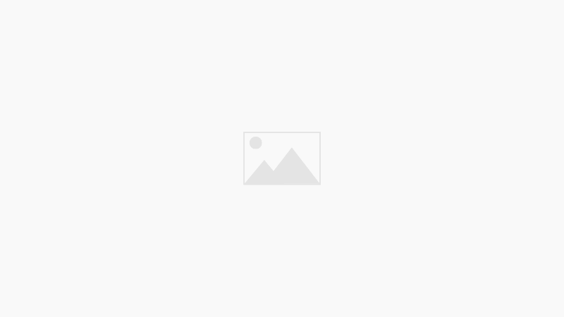 BUSCAN TALENTO ORIGINAL, NO ESTRELLAS DE REDES