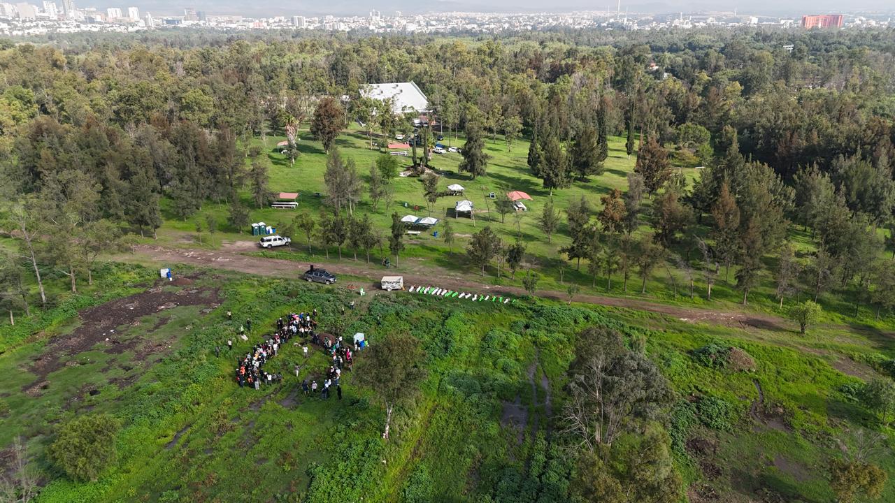Más de 600 árboles fortalecen los pulmones verdes de SLP