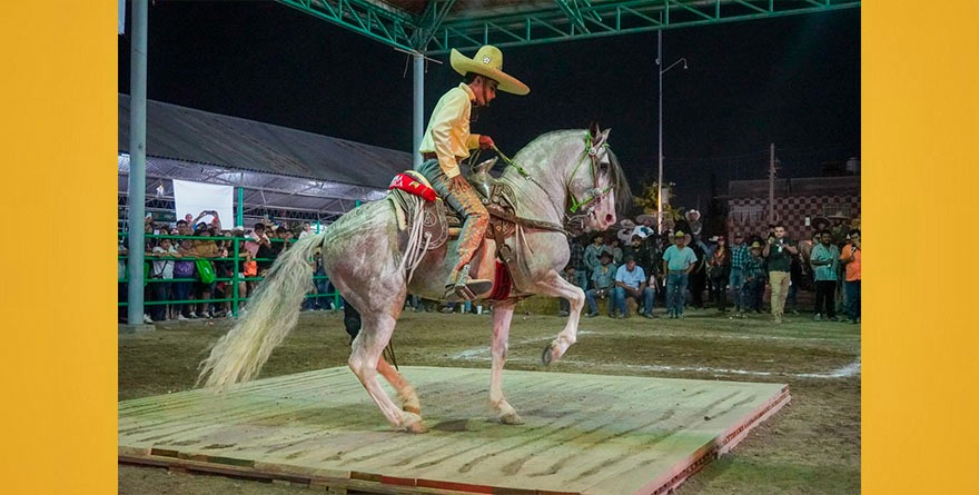 Un éxito el Campeonato de Caballos Bailadores