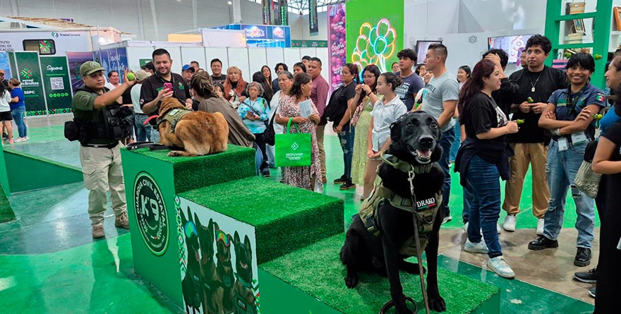 Saldo blanco en primer fin de semana de la Fenapo