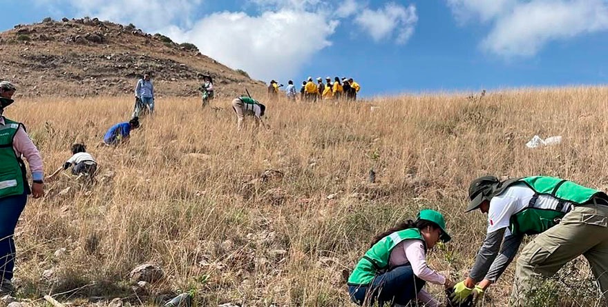 Gobierno estatal le quiere meter orden a la ecología… ¡Es hora!