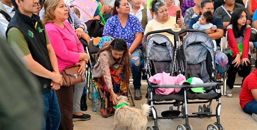 Colectivos celebran refugio: ‘Esto es un antes y un después’