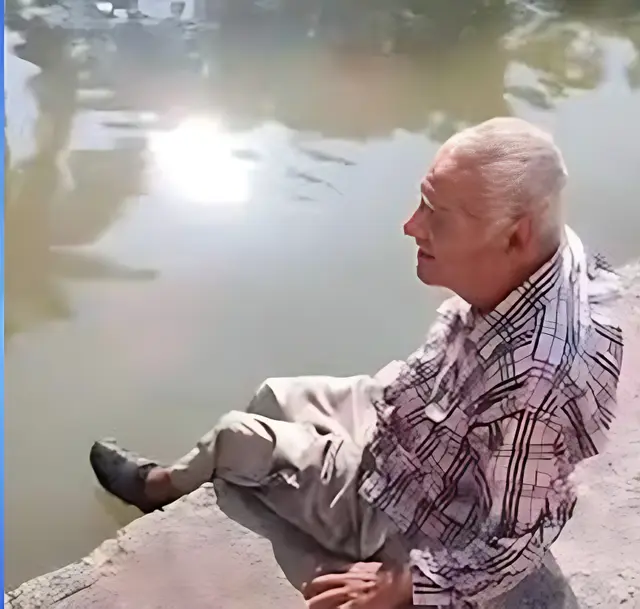 Libra a los cocodrilos