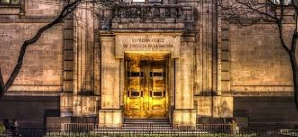 Arranca PJ con 50% de ‘improvisados’