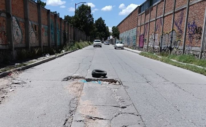 Viven en el ‘Nido de Godzilla’