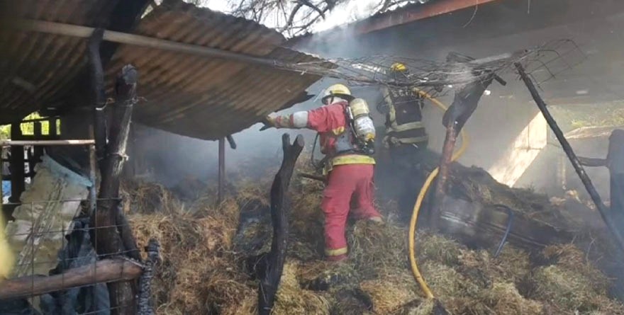 Fuego arrasa con corral en Plazuela de Rioverde