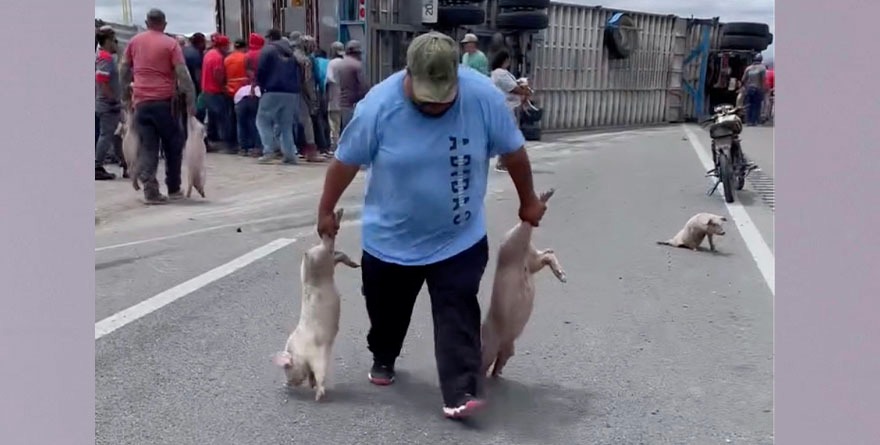 Se volteó el chiquero…  de aquí pa’l pozole del 15