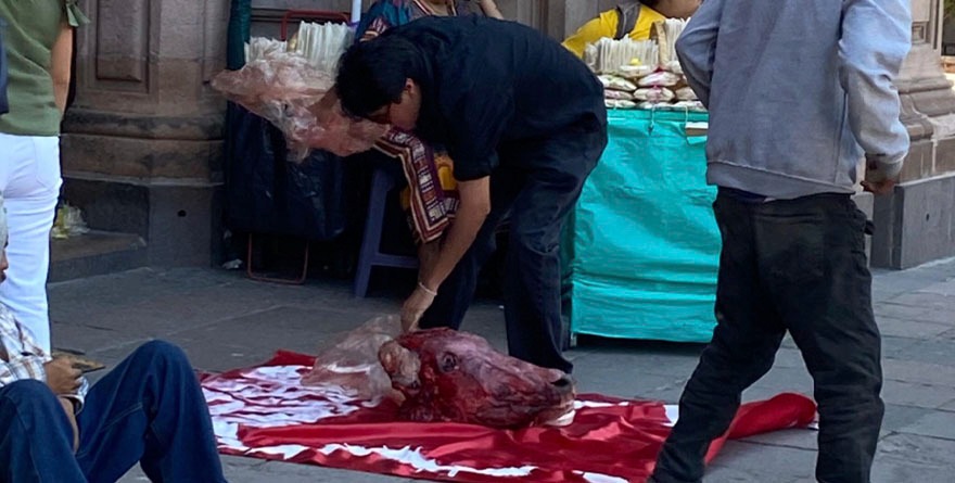 Protesta con cabeza de res sacude el centro de San Luis Potosí