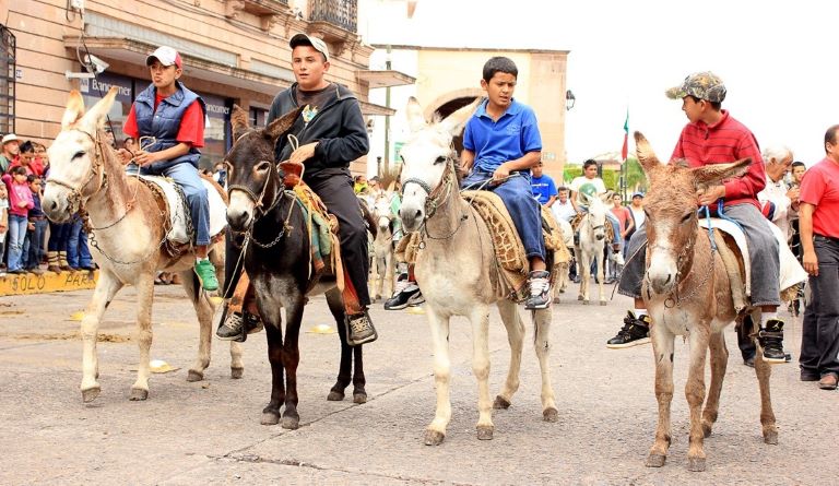 Arrancan las Fiestas Patronales de San Nicolás Tolentino 2025