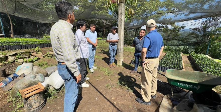 Exploran proyectos para café de Xilitla
