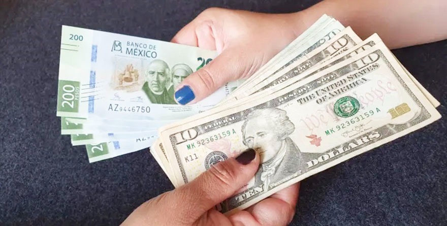 ¡Llueve lana verde en Cedral!