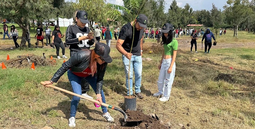 Reforestan Tangamanga I