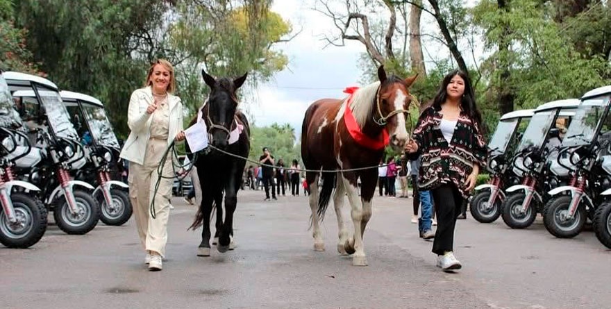 Adiós al látigo, hola al motor: jubilan a 62 caballos en SLP