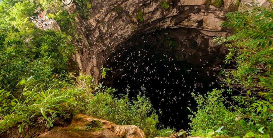 Multan a empresas por muerte de aves en el Sótano de las Golondrinas