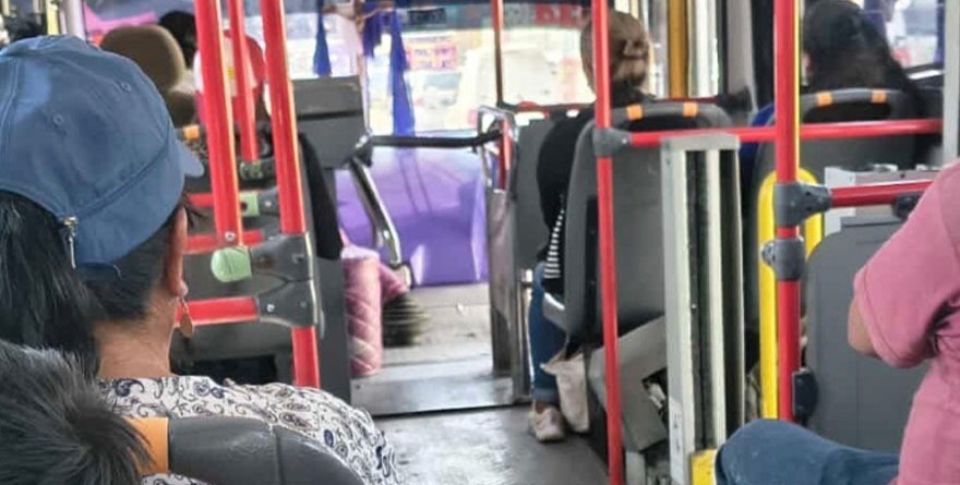 Chofer pone en su lugar a abusivo en la Ruta 21