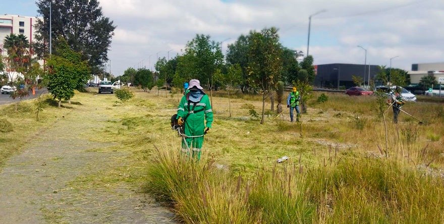 MOVILIDAD SIN LÍMITES, ESTADO RETIRA 310 TONELADAS DE BASURA
