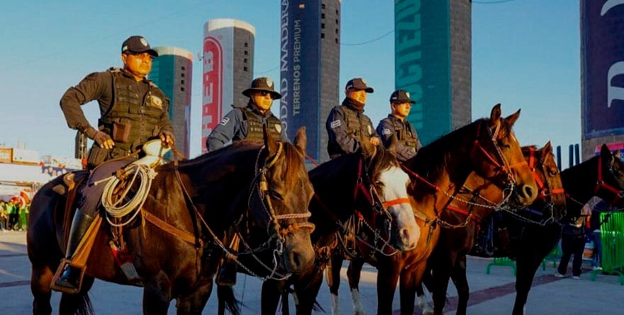 Tragones de Alfalfa y Croquetas en la Policía Municipal