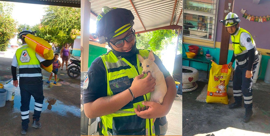 Ciudad Valles se une por nuestros amigos de cuatro patas