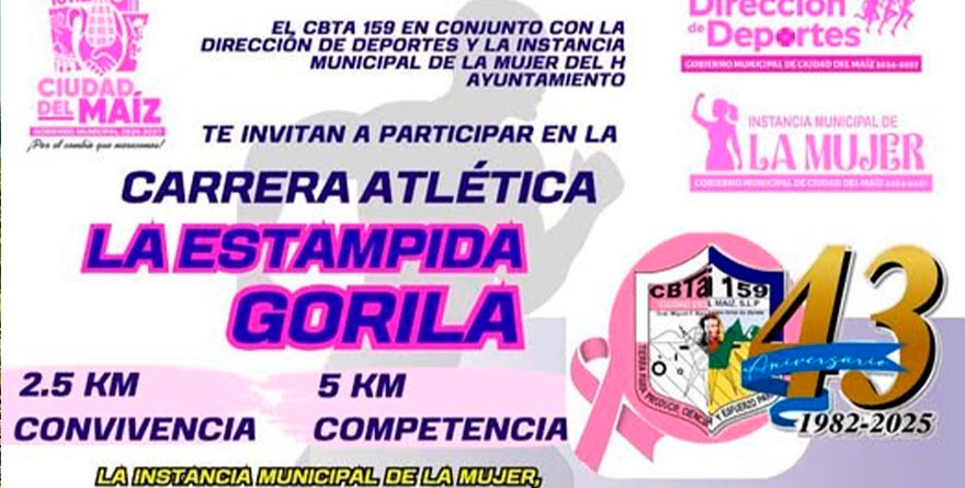 Suelta al gorila que llevas dentro