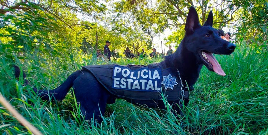 CON HONORES DESPIDEN A “DRAKO”