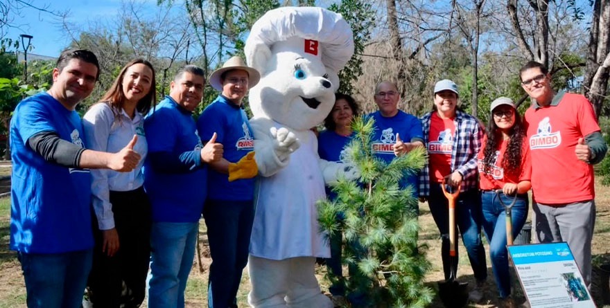 Reforestan Parque de Morales