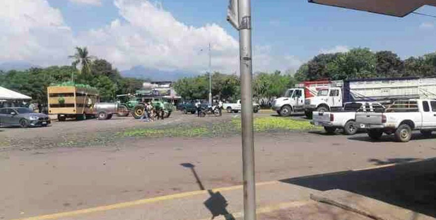 Pelean limón cinco cárteles