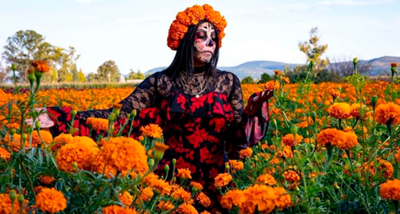 Cempasúchil, la flor que une la vida y la muerte