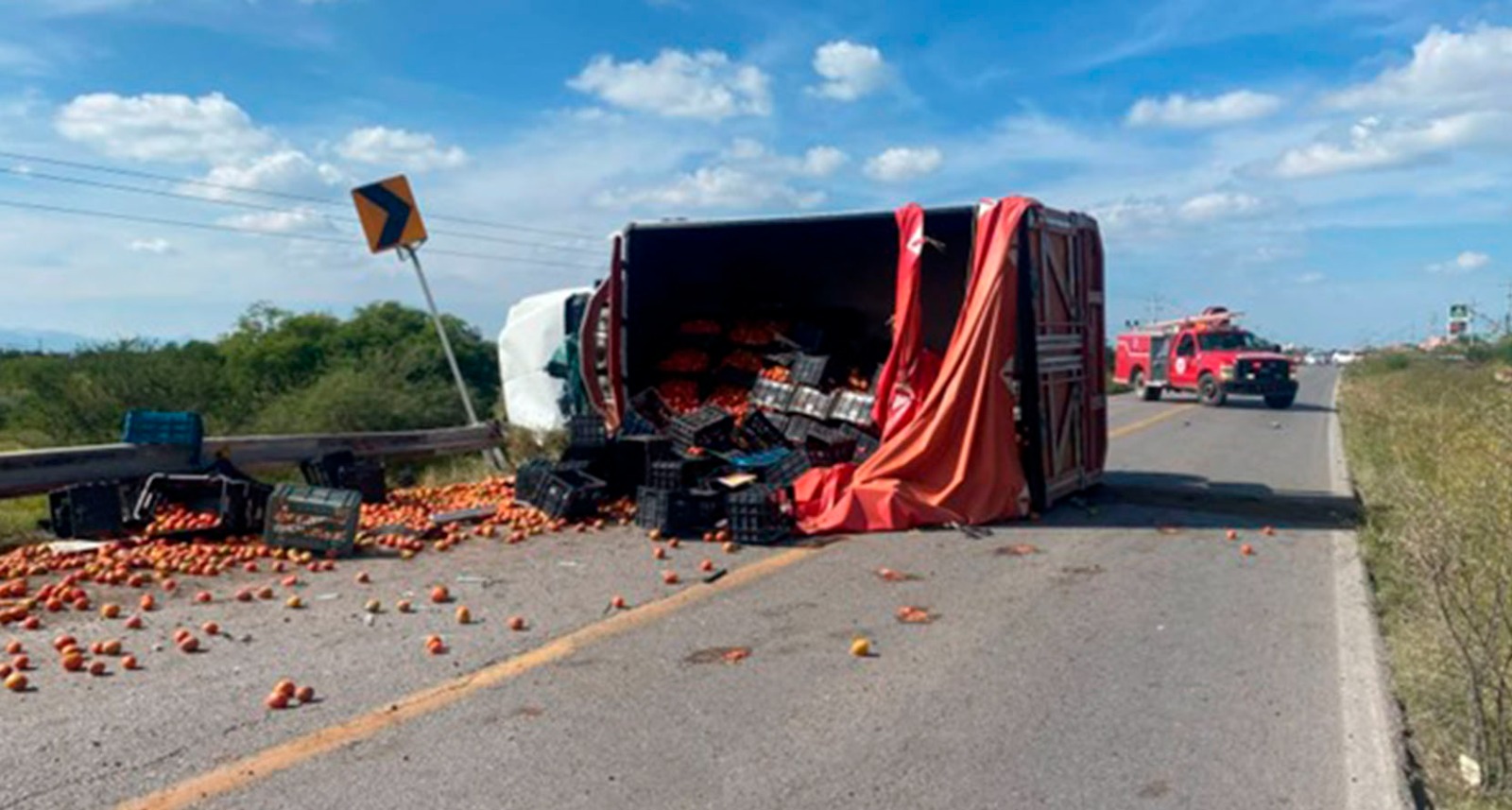 Tomates por doquier…