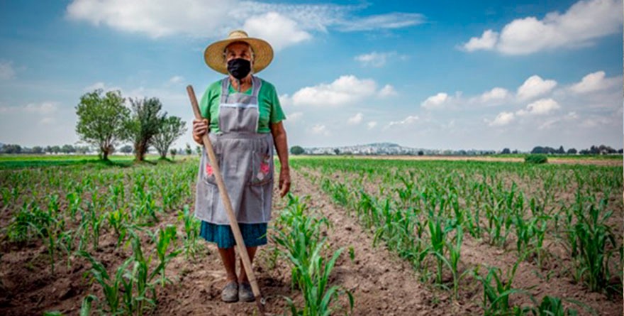 Más mujeres al mando del campo potosino