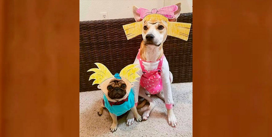 Protege a tus lomitos y michis este Día de Muertos