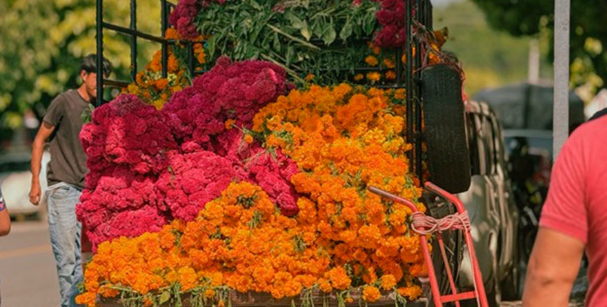 Con flores dan color a espíritu xantolero