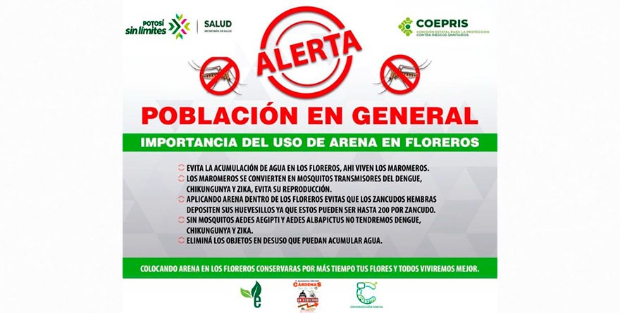 ¡ALERTA MÁXIMA! Dengue, Chikungunya y Zika