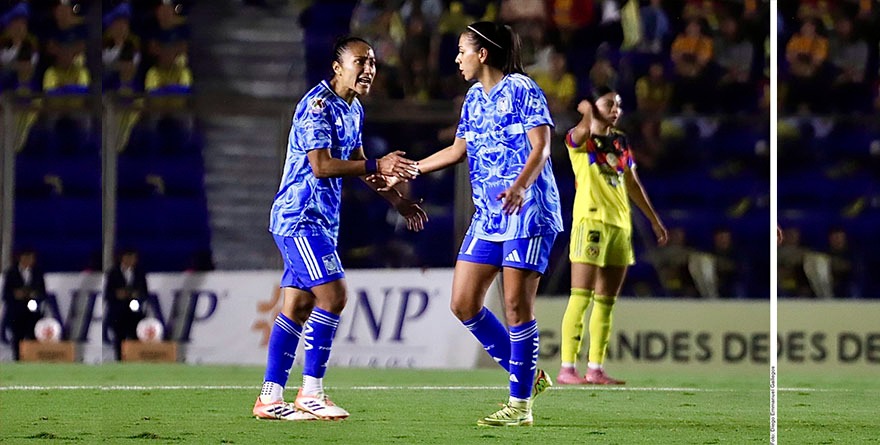 NUNCA DEN A UN TIGRE POR MUERTO: MAYOR