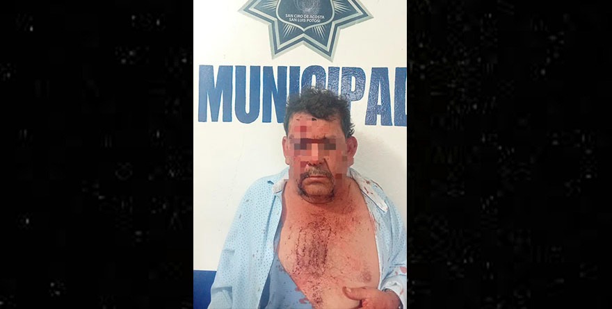 Le fue a buscar pleito… y le dieron clases de defensa personal