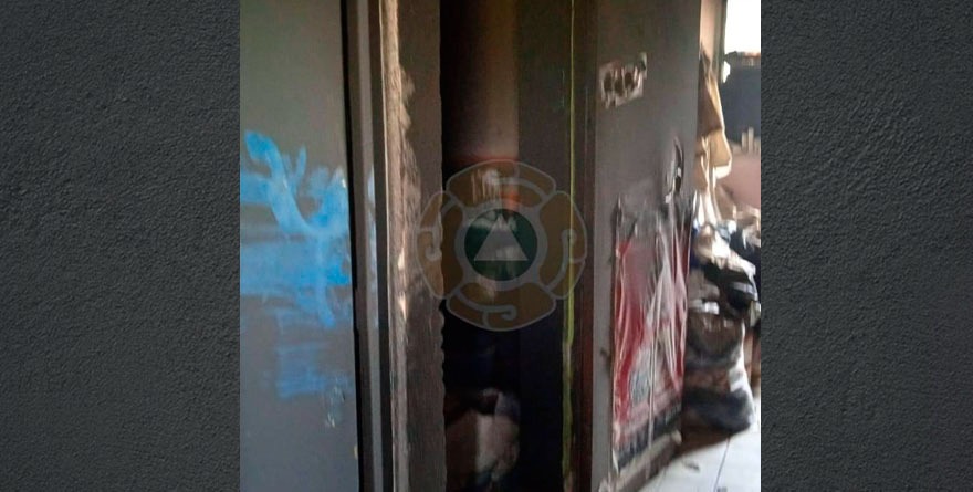 Minino travieso desata incendio en Nuevo Progreso