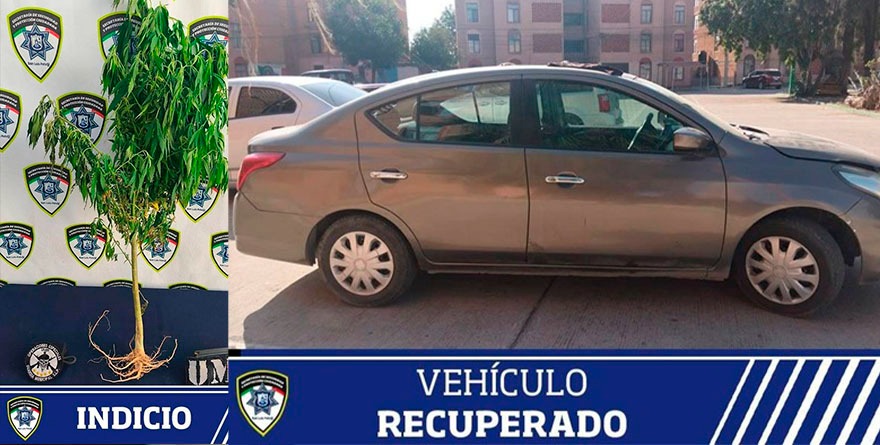 Seguridad con “aroma y sorpresa”