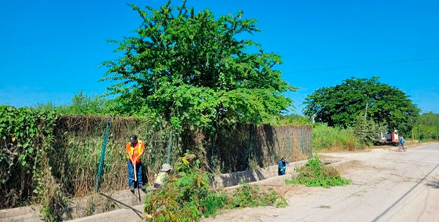 Desazolve garantiza flujo en canal pluvial