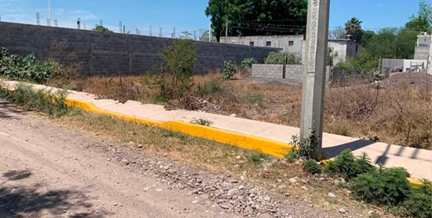 Ayuntamiento y Jueza se Unen