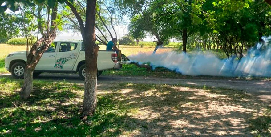 FUMIGAN PARAJES