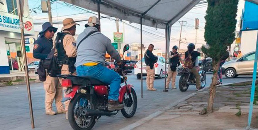 ¿Casco o multón?