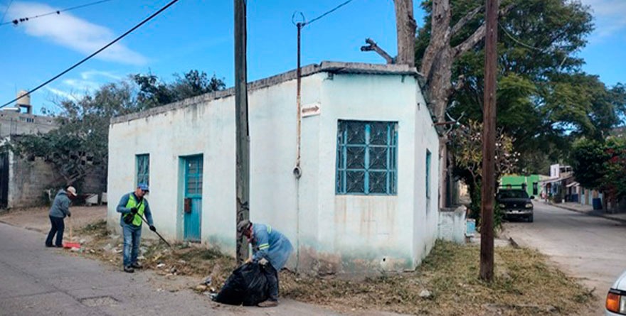 Adiós a la maleza