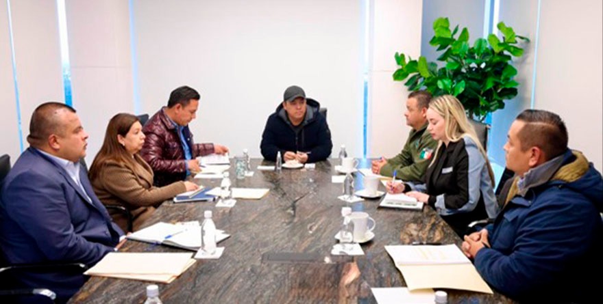 Revisan seguridad