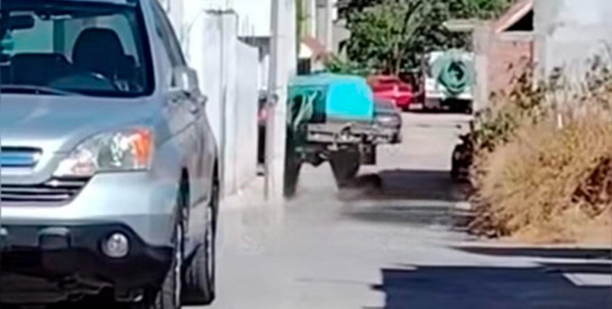 Indigna caso de crueldad animal en Santa María del Río