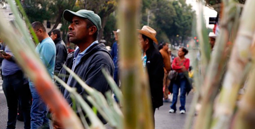 Pactan cita en Sader cañeros potosinos