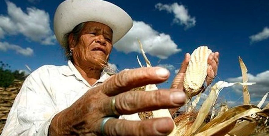 Campo potosino alza la voz