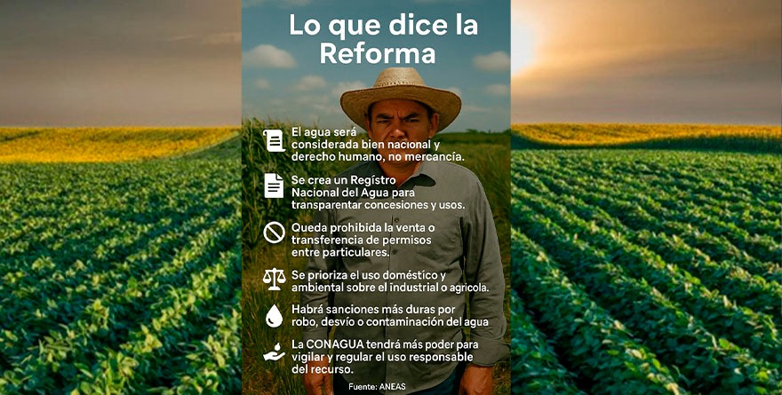 Más control, más cuidado y no negocios