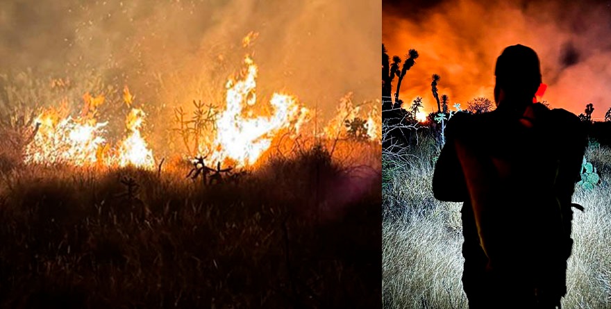 Fue provocado, incendio en La Lomita