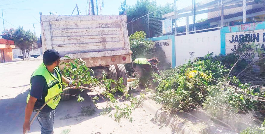 Jardín de Niños Julián Carrillo Un Entorno Limpio y Seguro