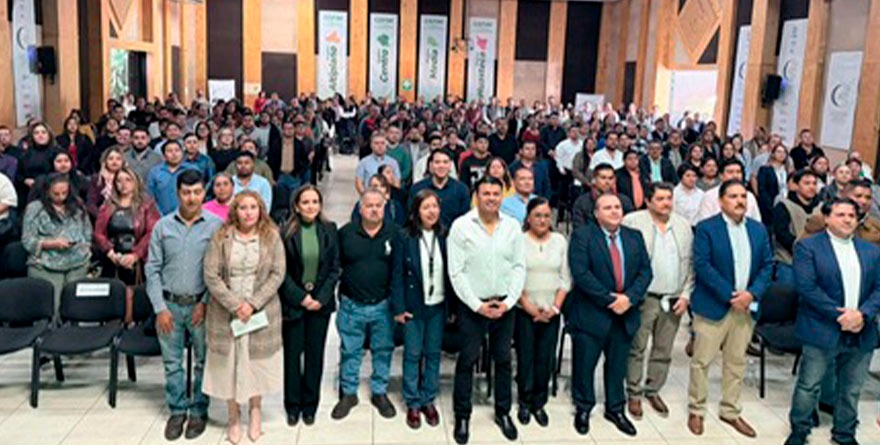 Ayuntamientos buscan cuentas claras