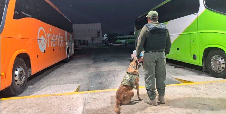 Refuerzan vigilancia por temporada decembrina